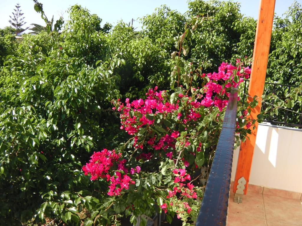 Serenity Hideaway Palaiochora Oda fotoğraf